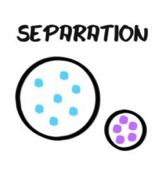 Séparation représentée par des points bleus dans une rond et à côté des points violet dans un autre rond